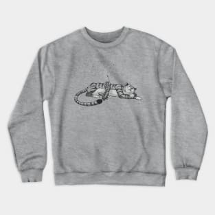 Stargazers Crewneck Sweatshirt